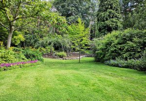 Optimiser l'expérience du jardin à Nogent-les-Montbard